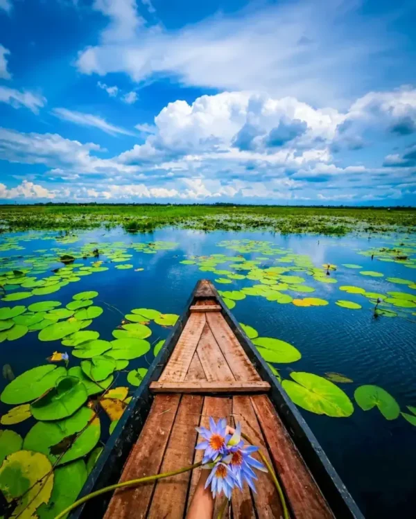 Girl & Boys Sitting in Boat