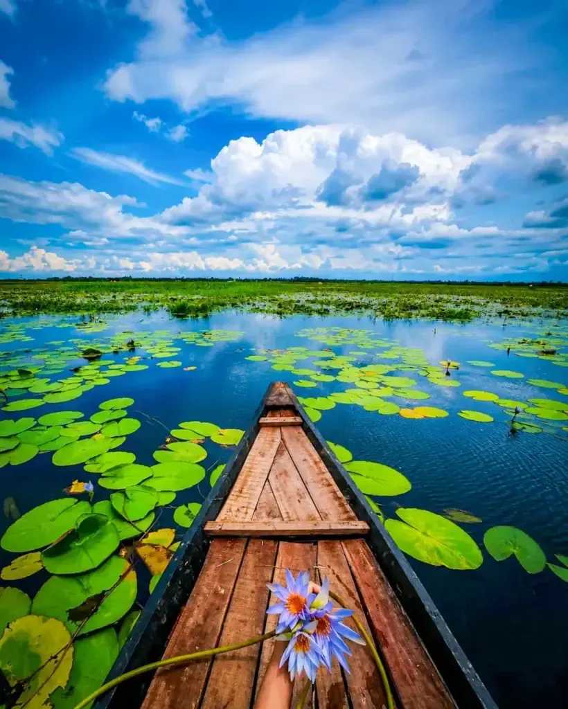 Girl & Boys Sitting in Boat