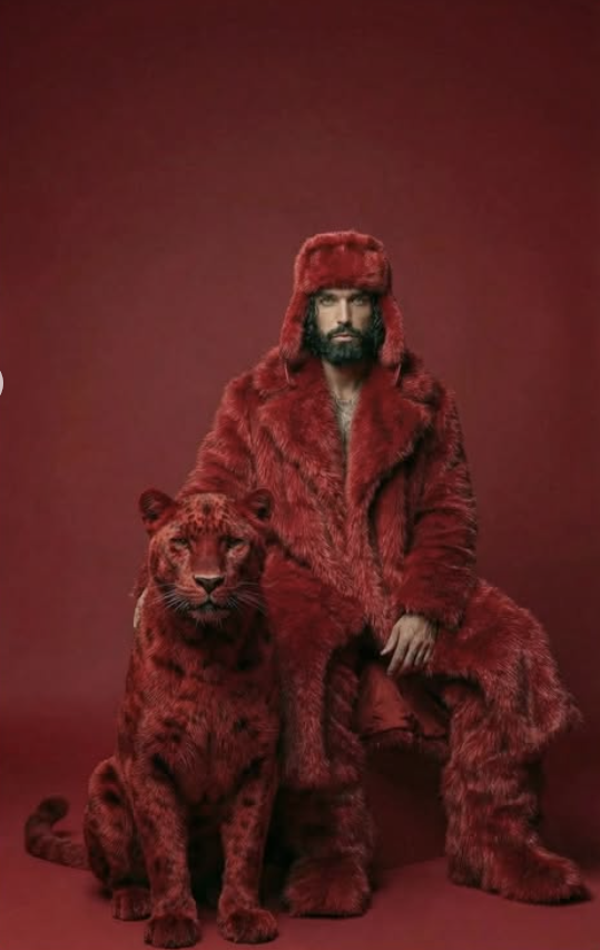 Red Theme With Lion